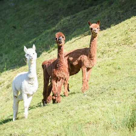 Semesterbostad Charlet Urlaubsfreude Berchtesgaden